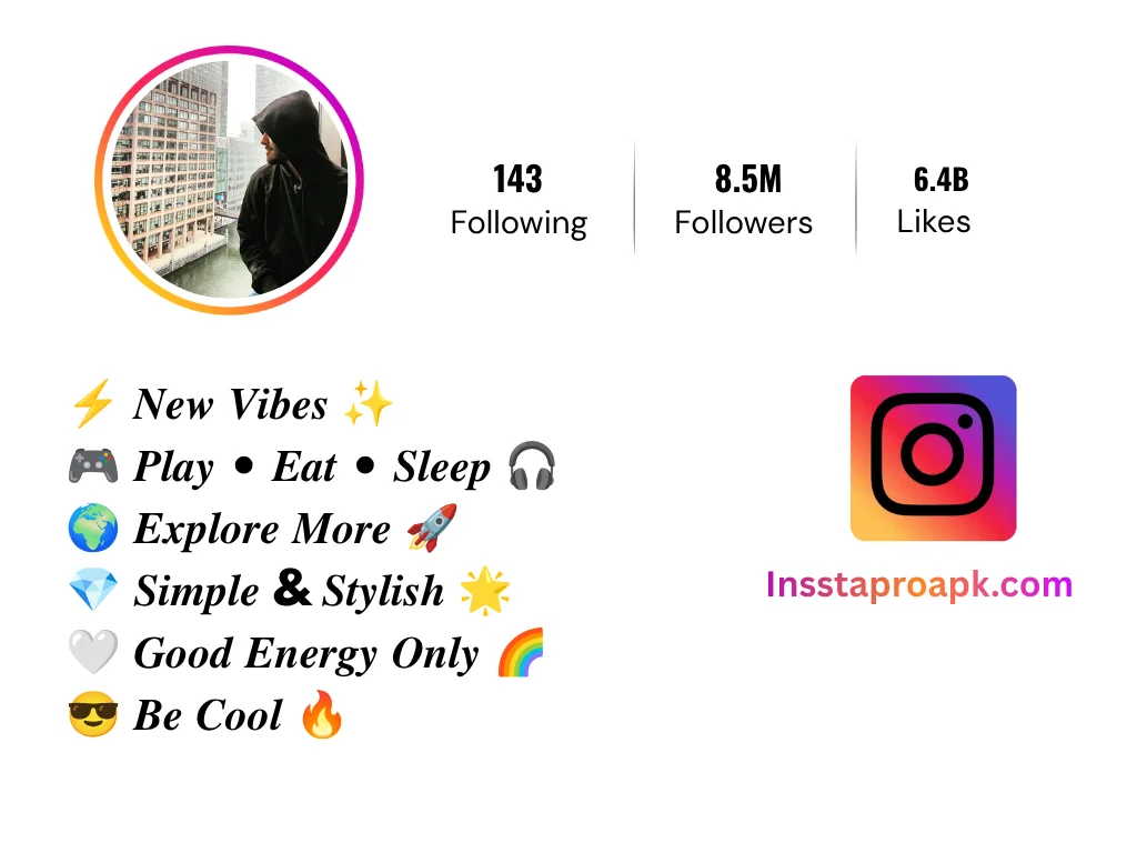 instagram Bio For boys