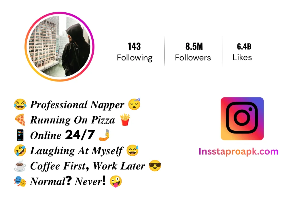 funny instagram bio