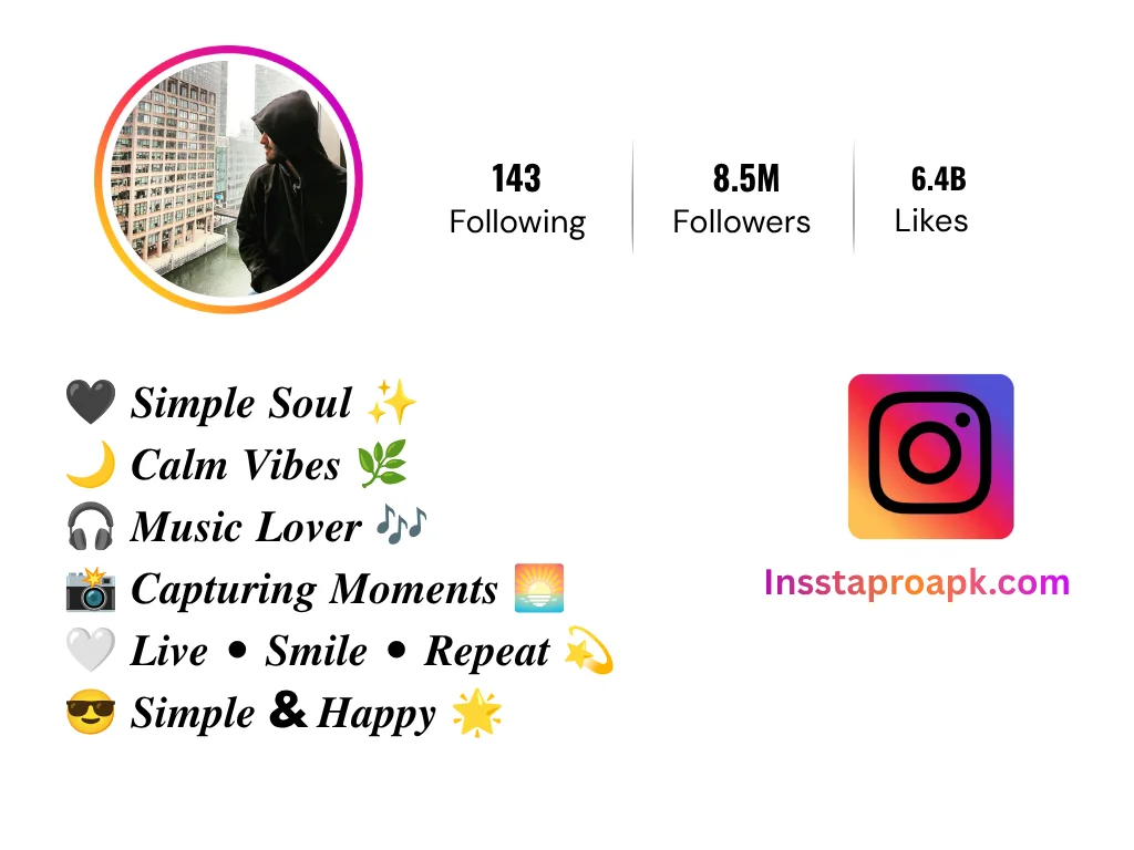 simple instagram bio