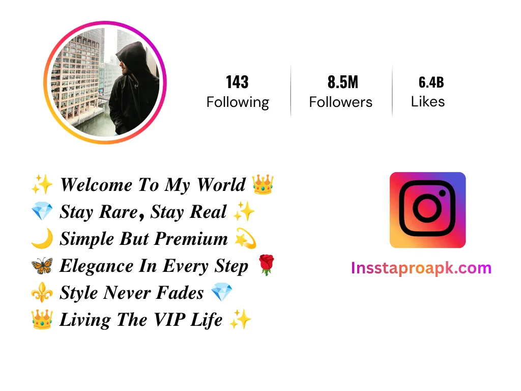 instagram bio for boys