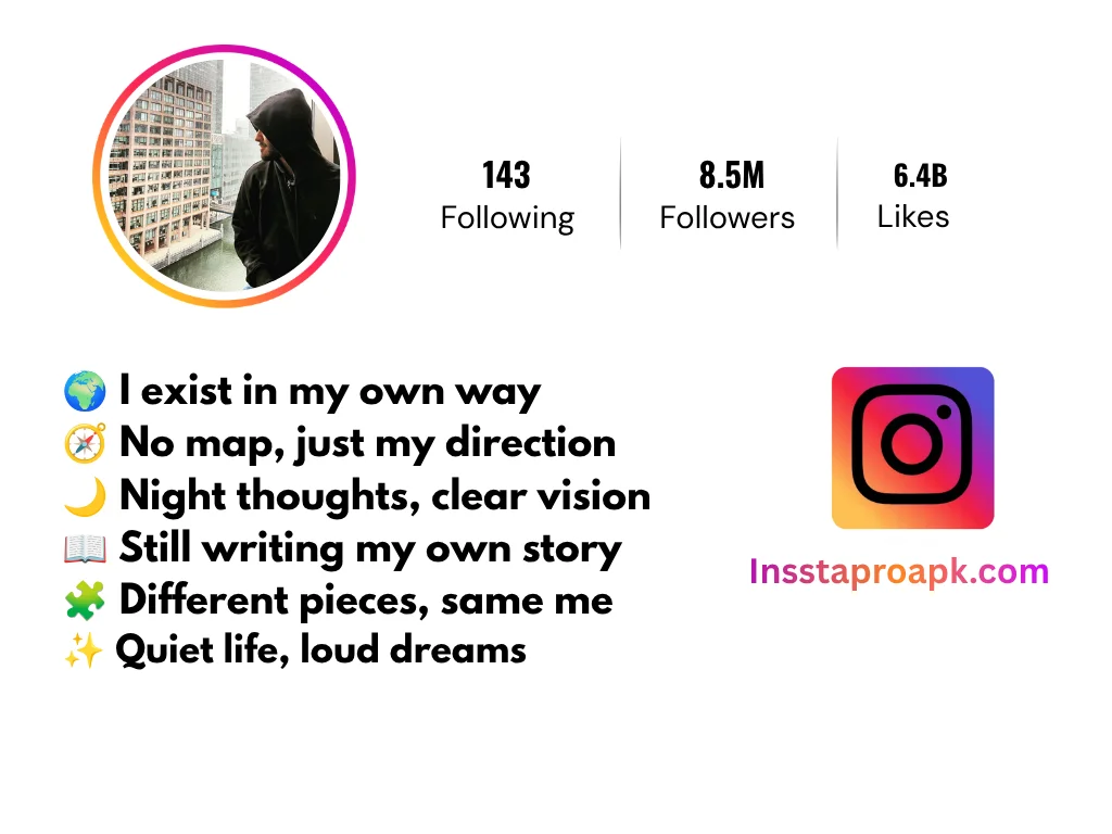 unique instagram bio